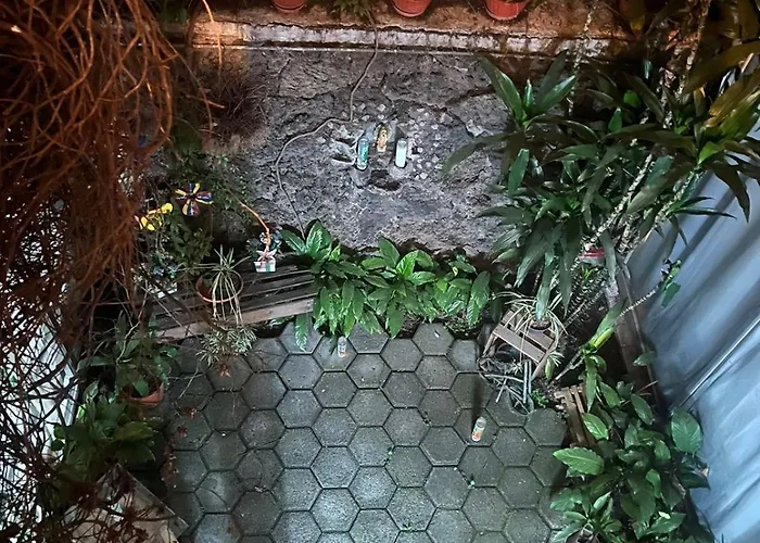 Guest house Rosas Mexico City